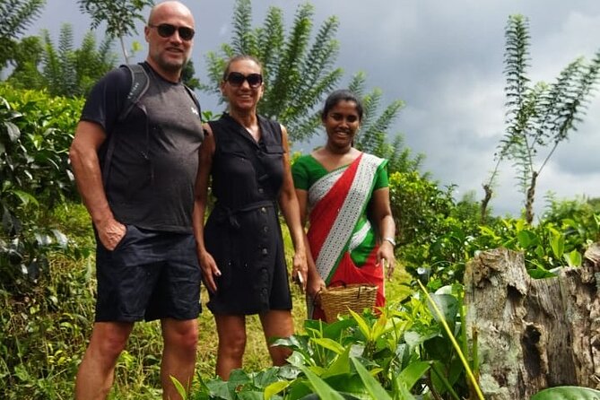 Ceylon Tea Experience Start from Colombo Port Passenger Terminal - Seema Malakaya Temple on Beira Lake