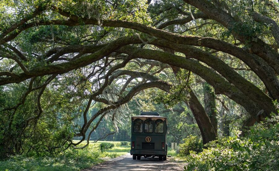 Charleston: Wadmalaw Island Wine Tasting and Tea Garden Trip - Leaving Charleston for Wadmalaw Island