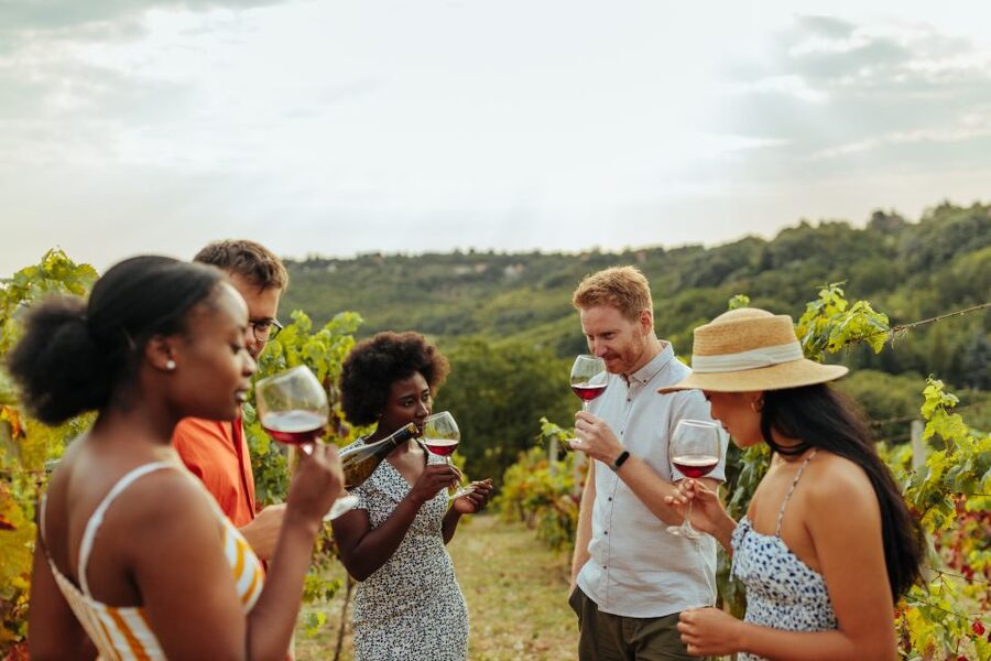 Charleston: Wadmalaw Island Wine Tasting and Tea Garden Trip - Wine, Animals, and Walking Trails at Deep Water Vineyard