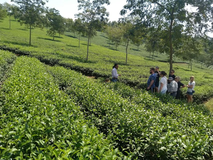 Coffee - Wine - Tea Da Lat's Agricultural Treasures Tour - Linh Phuoc Pagoda and detailed Buddhist art