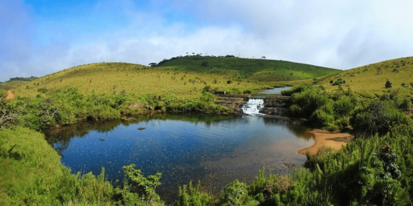 Comprehensive Excursion: Horton Plains and Pedro Tea Factory - A three-hour walk through Horton Plains