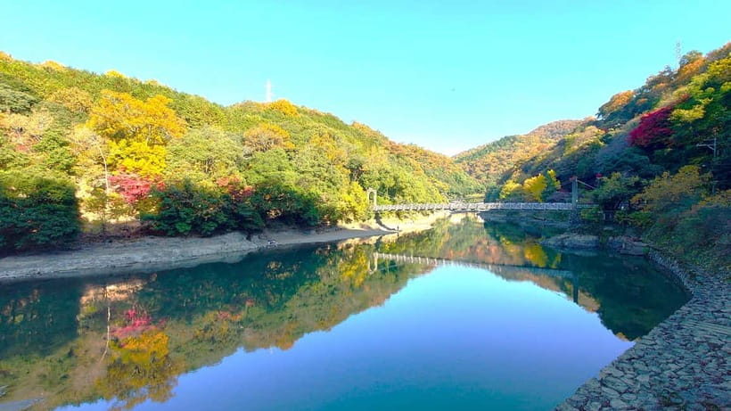 Cycling Tour at Uji's Matcha Green Tea Fields and Heritage - Why a bicycle suits Uji better than a tight walking route