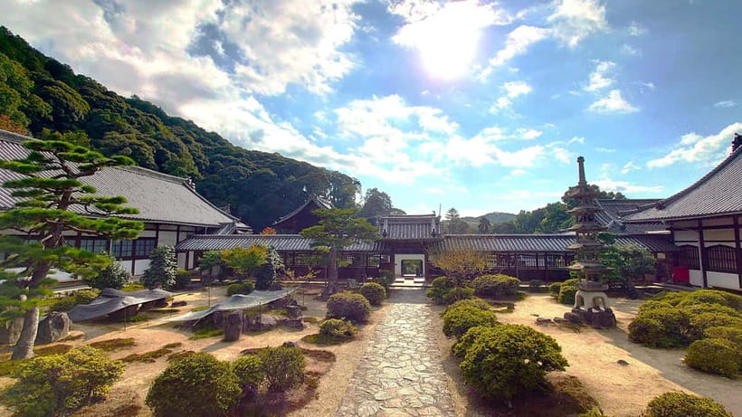 Cycling Tour at Uji's Matcha Green Tea Fields and Heritage - Matcha snacks and the final return to Uji