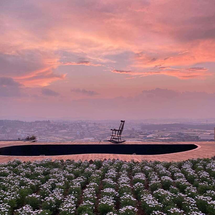 Da Lat: Sunrise Panorama, Green Tea Hill and Strawberry Farm - Key points to know before booking