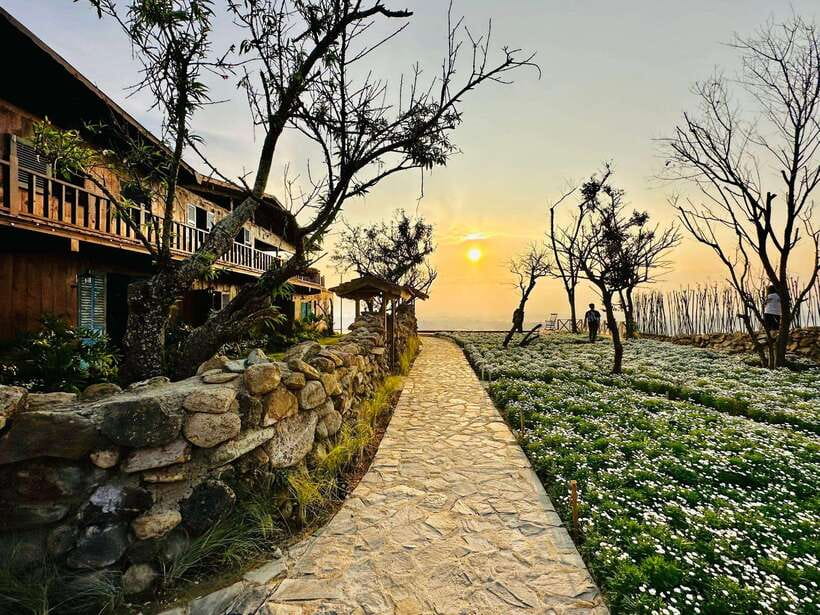 Da Lat: Sunrise Panorama, Green Tea Hill and Strawberry Farm - Sunrise at Cau Dat Panorama