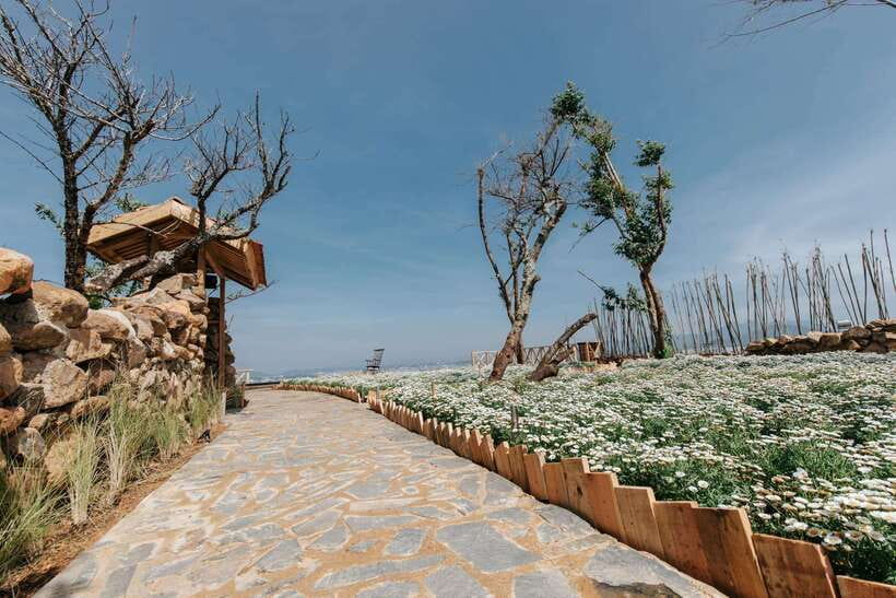Da Lat: Sunrise Panorama, Green Tea Hill and Strawberry Farm - A high-tech strawberry farm with fresh picking