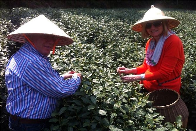 Day Tour to Discover the Secrets of Hangzhou's Tea Culture - Starting at West Lake