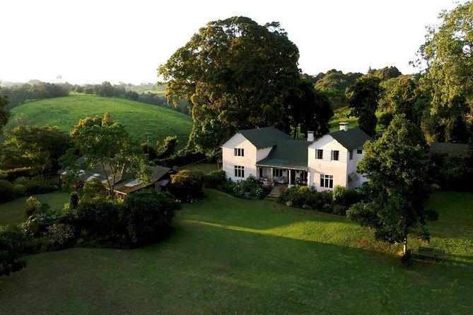 Day Tour To Kiambethu Tea Farm in Limuru - Gardens, birds, and colobus monkeys