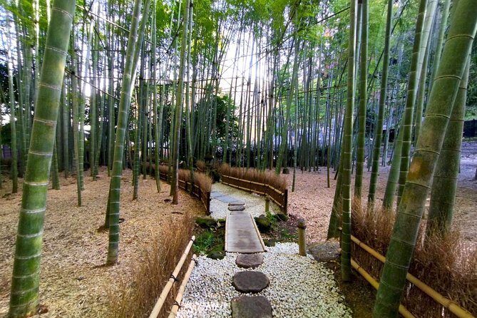 Day Trip to Kamakura & Enoshima: Shrines, Seaside, Temples & Tea - From Shinjuku to Kamakura by train