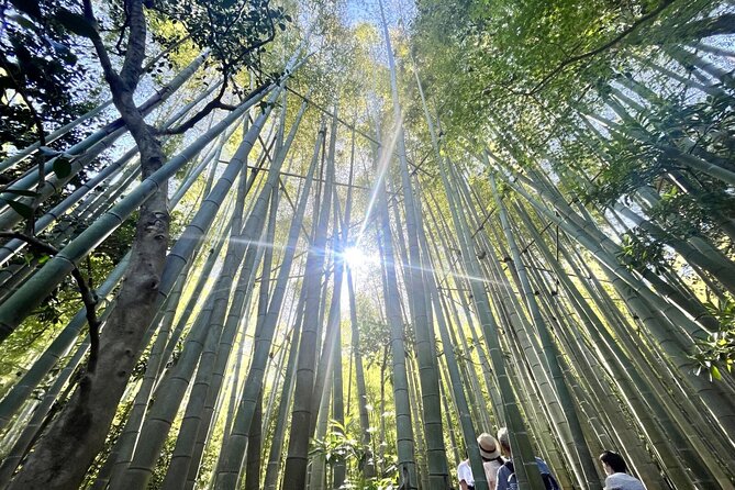 Day Trip to Kamakura & Enoshima: Shrines, Seaside, Temples & Tea - Walking toward Enoshima along the sea