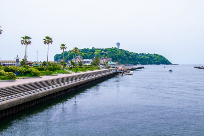 Day Trip to Kamakura & Enoshima: Shrines, Seaside, Temples & Tea - What the guide adds to the day