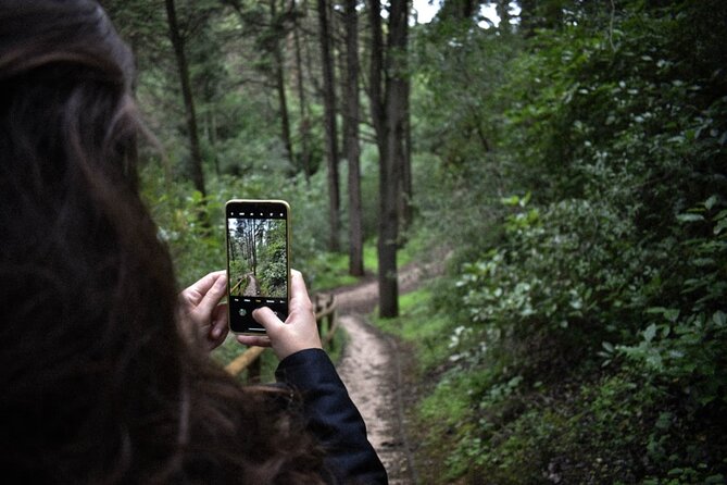 Discover the Lake Agnes Tea House Trail with an Audio Nature Tour - Banff’s forest, caves, and wildlife