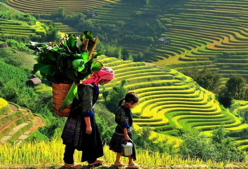 Easy Trek in Sapa mountain : Y Linh Ho - Lao Chai - Ta Van - Why this Sapa trek is worth your time