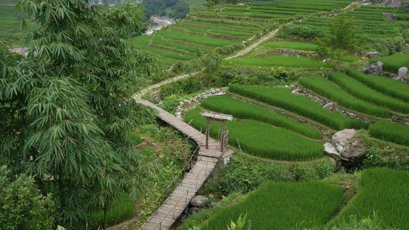 Easy Trek in Sapa mountain : Y Linh Ho - Lao Chai - Ta Van - Y Linh Ho and the biggest rice terraces