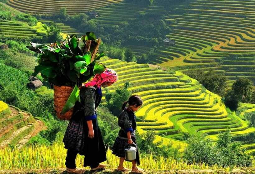 Easy Trek in Sapa mountain : Y Linh Ho - Lao Chai - Ta Van - What the guides add to the day