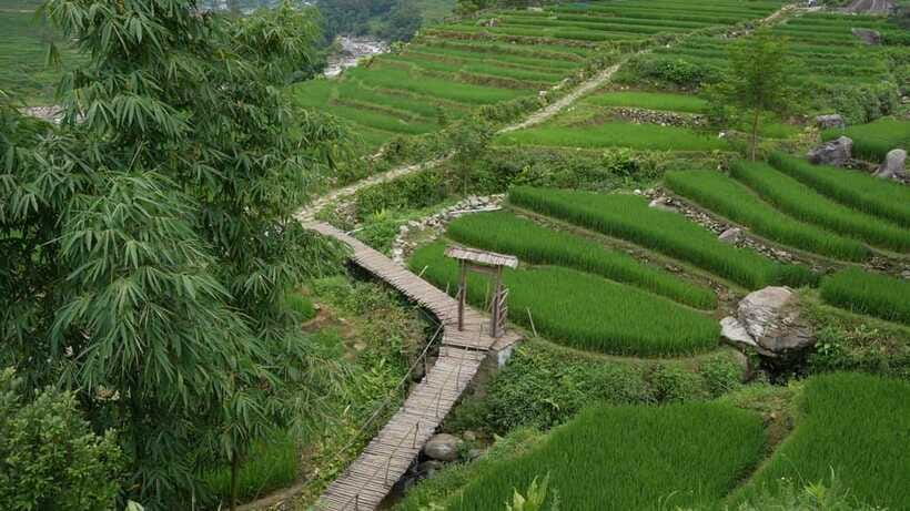 Easy Trek in Sapa mountain : Y Linh Ho - Lao Chai - Ta Van - Timing, transport, and the useful massage discount