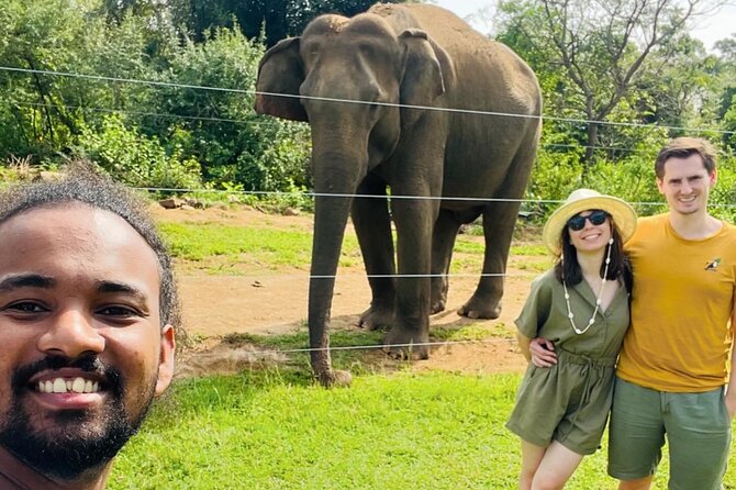 Ella Day Trip with Train Ride Waterfalls and Tea Factory Tour - Why this Galle to Ella day trip works