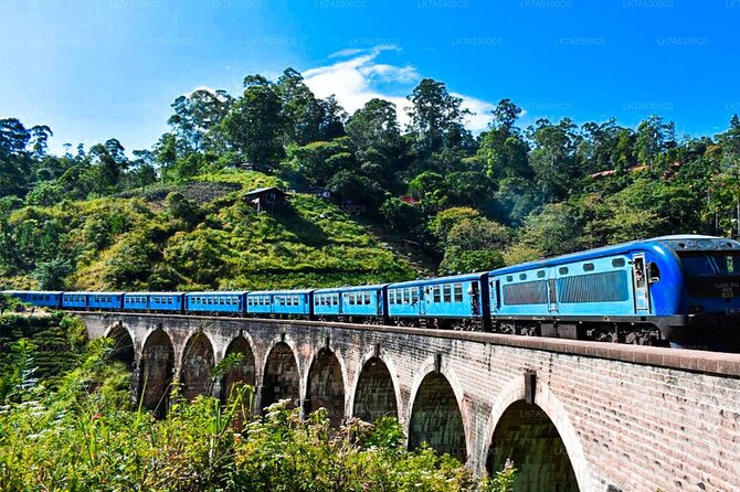 Ella Private Day Trip with Train Ride & Tea Factory-All Inclusive - Why this Ella day trip makes sense from Bentota