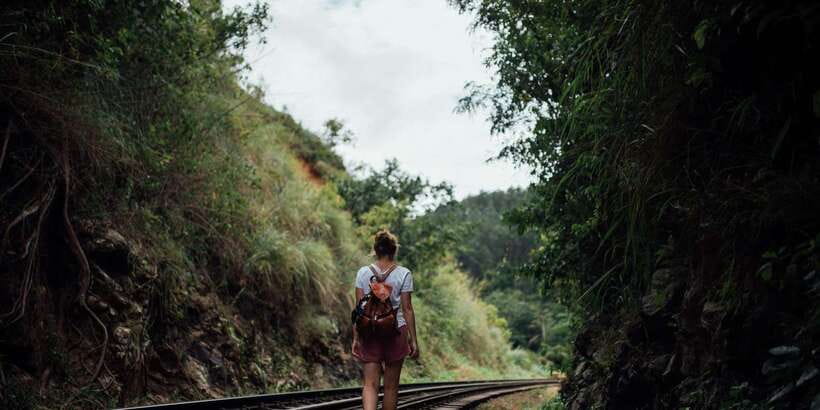 Ella: Tea Factory, Train, and Nine Arch Day Tour with Pickup - Key points at a glance
