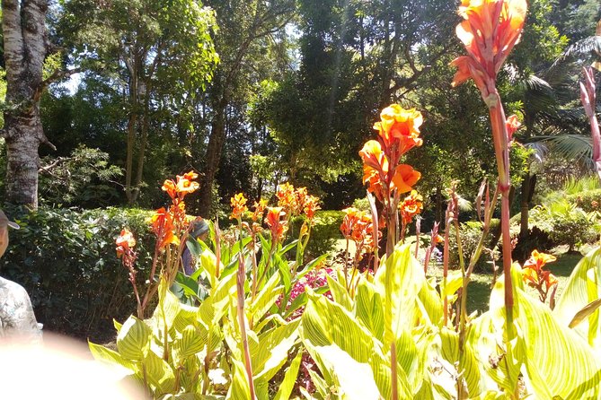Excursion to Kiambethu Tea Farm - What the $140 price really covers