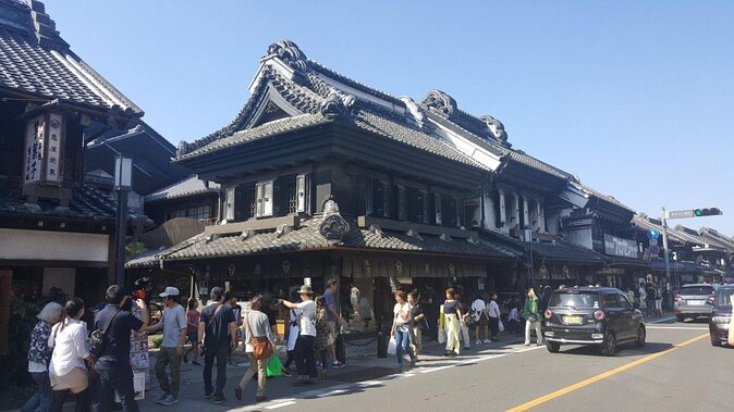 Experience Seasonal Green Tea Picking in Sayama and Nostalgic Walk in Kawagoe! - Why Sayama tea makes this tour different