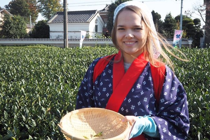 Experience Seasonal Green Tea Picking in Sayama and Nostalgic Walk in Kawagoe! - What the $130 price includes