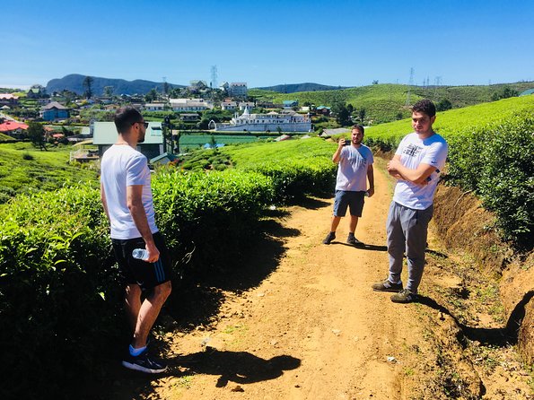 Explore Nuwara Eliya | Experience the Best Tea in the World - Oak Ray Tea Factory and Museum