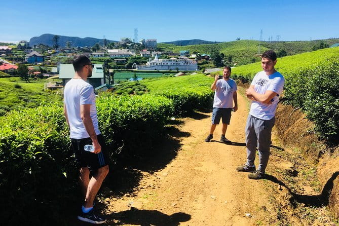 Explore Nuwara Eliya - Waterfall & Tea Factory Tour - Key points to know before you go