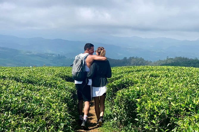 Explore Nuwara Eliya - Waterfall & Tea Factory Tour - What the $42 group price really includes
