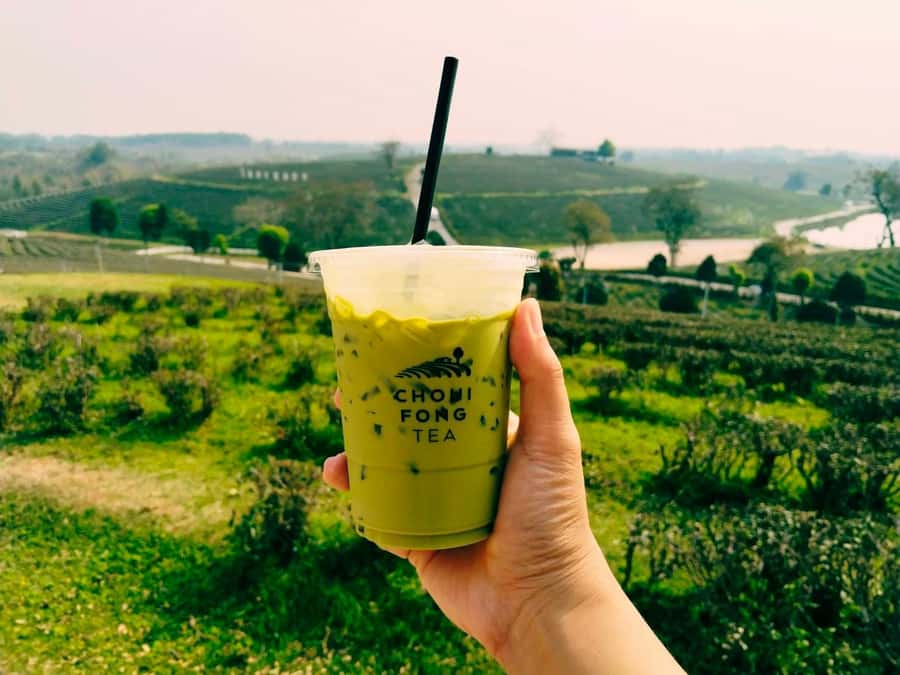 Explorer Border road and Nature ( Tea and Coffee ) - What the $144 price really covers
