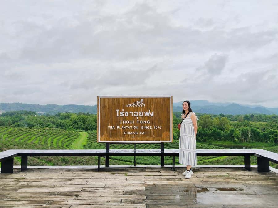 Explorer Border road and Nature ( Tea and Coffee ) - Doi Chang Moob takes you to the border