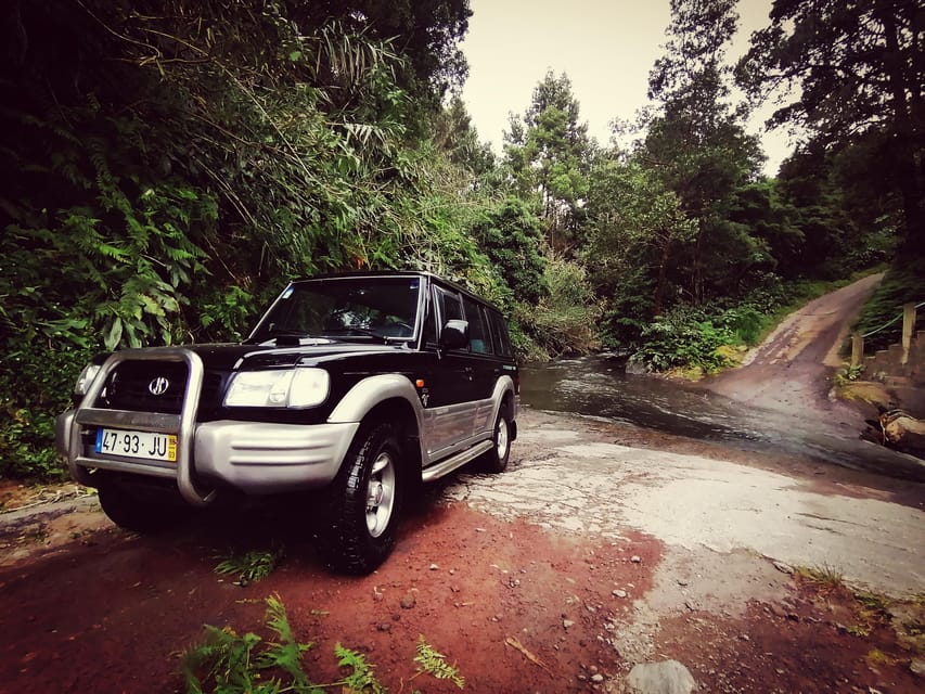 Fire Lake, Pineapple & Tea: Half-Day Jeep Tour - Gorreana Tea Plantation and São Miguel’s working countryside