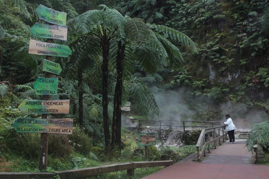 Fire Lake & Tea Factory & Pinneaple - Key things to know before booking