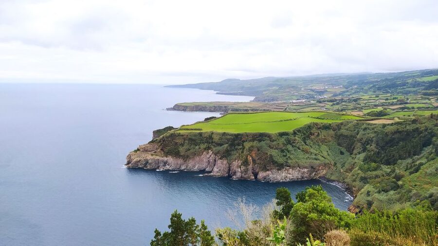 Fire Lake & Tea Factory & Pinneaple - Pineapple cultivation before the coast