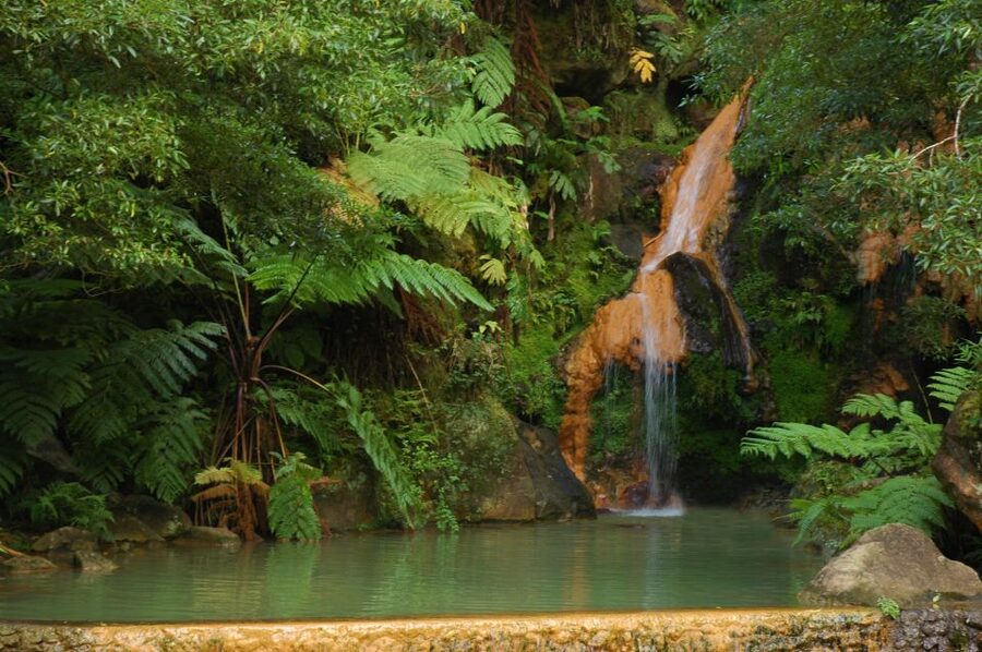 Fire Lake & Tea Factory & Pinneaple - A smart four-hour route through São Miguel