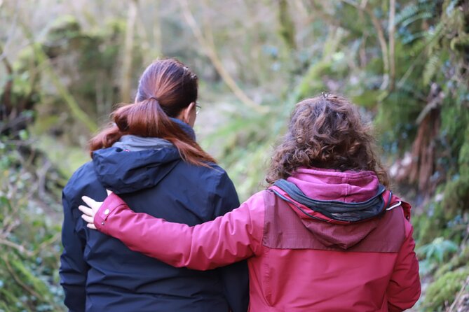 Forest Bathing in Tuscany with Wild Crafted Tea - Why this forest walk feels different from a normal hike