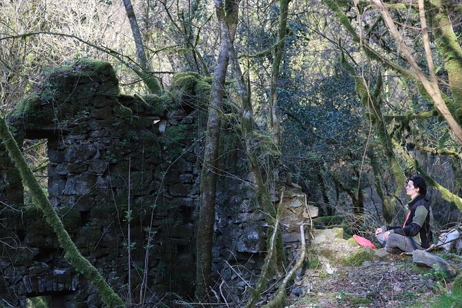 Forest Bathing in Tuscany with Wild Crafted Tea - Reaching the Stretti di Mochignano