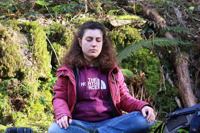 Forest Bathing in Tuscany with Wild Crafted Tea - Tea, vegan snacks, and a quieter ending