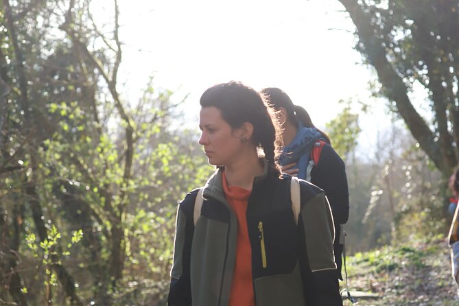 Forest Bathing in Tuscany with Wild Crafted Tea - Is $69.81 a fair price?
