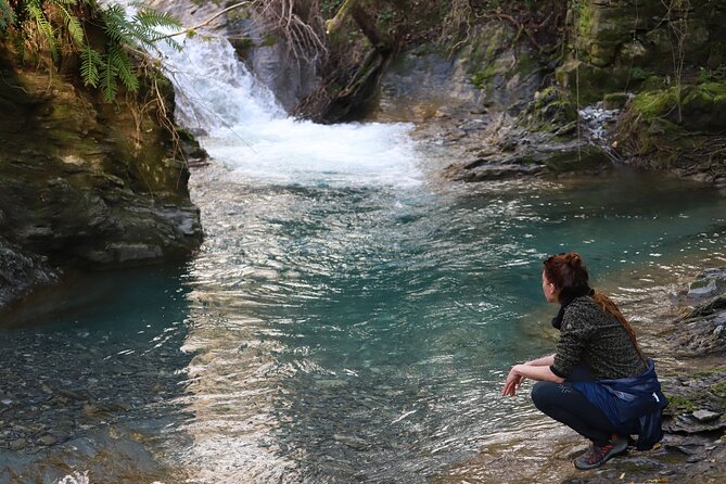 Forest Bathing in Tuscany with Wild Crafted Tea - Who will enjoy this most?