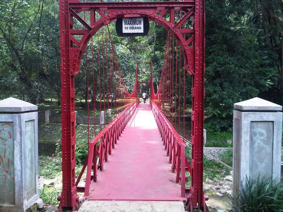From Bandung: Tea Plantation and Botanical Garden Tour - Why this route works as a Bandung to Jakarta transfer