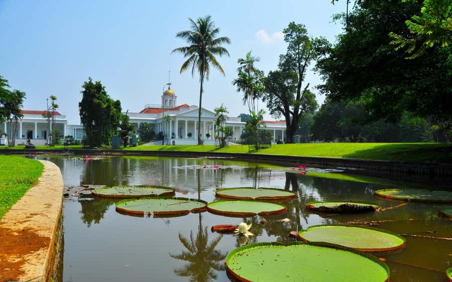 From Bandung: Tea Plantation and Botanical Garden Tour - Why the route choice can change the whole day