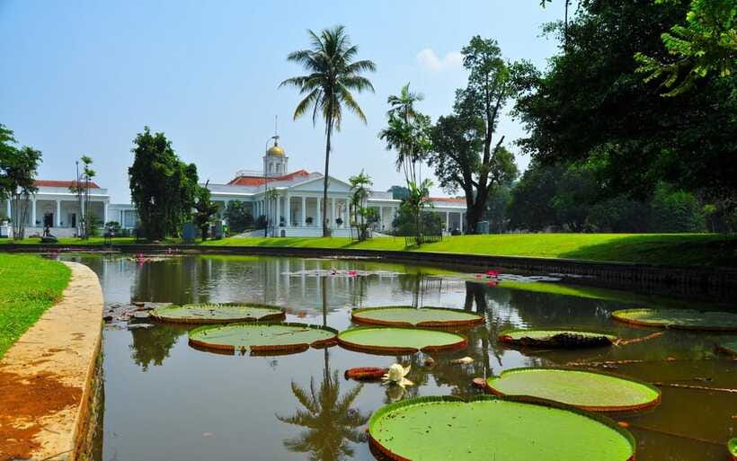 From Bandung: Tea Plantation and Botanical Garden Tour - Bogor Botanical Garden and its 15,000 plant types