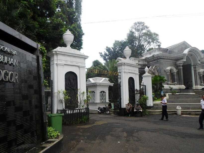 From Bandung: Tea Plantation and Botanical Garden Tour - What to pack for the plantation and garden