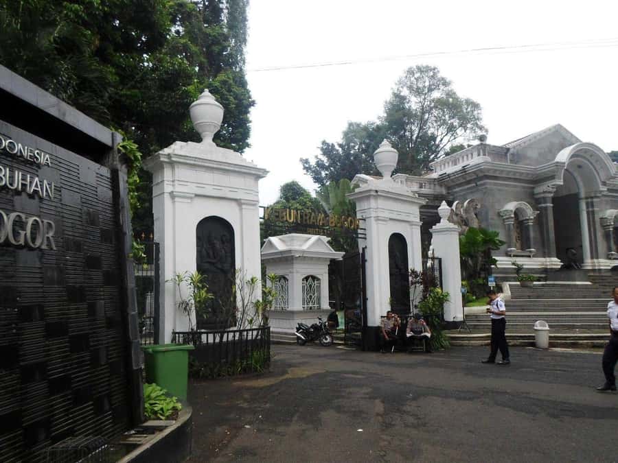 From Bandung: Tea Plantation and Botanical Garden Tour - Puncak tea country in the cool morning