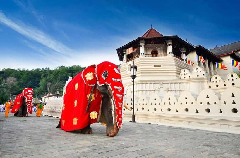 From Colombo: Kandy, Pinnawala and Tea Factory Full-Day Trip - An Ambitious Day from Colombo to Kandy