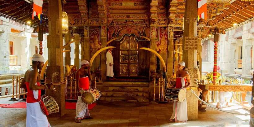From Colombo: Kandy & Pinnawala & Tea Factory Full Day Trip - Is this Colombo to Kandy day trip worth the long road?