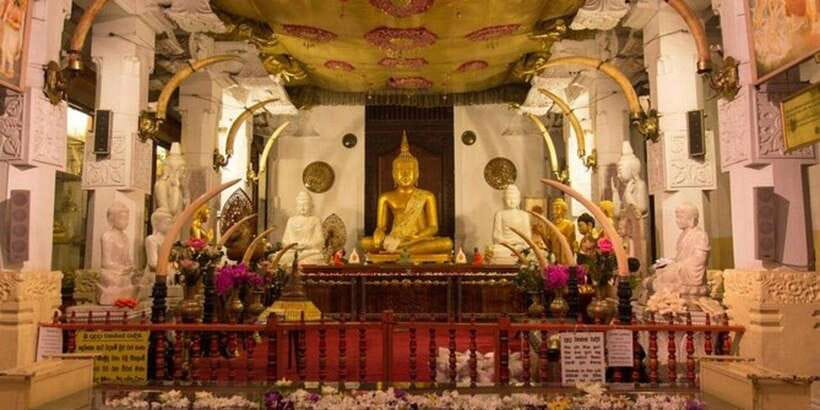From Colombo: Kandy & Pinnawala & Tea Factory Full Day Trip - Tea factory and estate: a welcome change of pace
