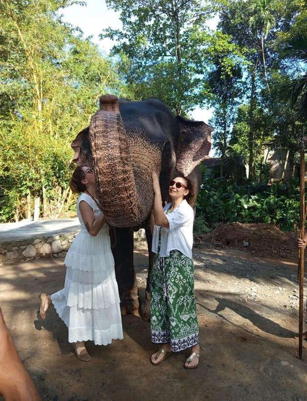 From Colombo or Negombo: Pinnawala, Kandy & Tea Factory Tour - The real shape of this Colombo to Kandy day