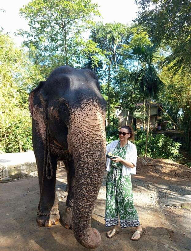 From Colombo or Negombo: Pinnawala, Kandy & Tea Factory Tour - Kandy’s sacred temple and last royal capital